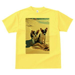 R[M[ TVc fB[X t@  t  vg JWA 킢 lԗp h ̃fUC ʔ r[` R[M[ C  l