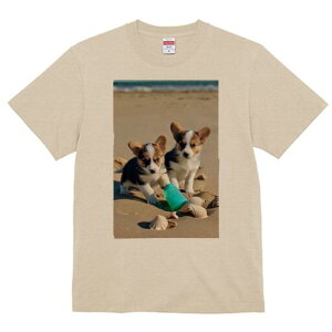 R[M[ TVc fB[X t@  t  vg JWA 킢 lԗp h ̃fUC ʔ r[` R[M[ C {g Lk