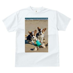 R[M[ TVc fB[X t@  t  vg JWA 킢 lԗp h ̃fUC ʔ r[` R[M[ C {g Lk