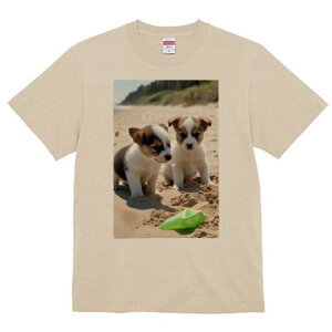 R[M[ TVc fB[X t@  t  vg JWA 킢 lԗp h ̃fUC ʔ r[` R[M[ C  