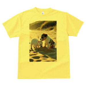 WbNbZeA TVc fB[X t@  t  vg JWA 킢 lԗp h ̃fUC ʔ l WbNbZeA C 