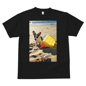 R[M[ TVc fB[X t@  t  vg JWA 킢 lԗp h ̃fUC ʔ r[` R[M[ C oPc 