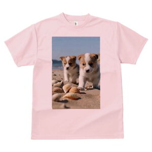 R[M[ TVc fB[X t@  t  vg JWA 킢 lԗp h ̃fUC ʔ r[` R[M[ C l Lk