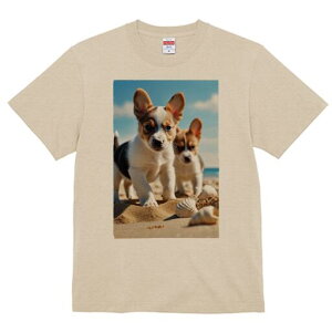 R[M[ TVc fB[X t@  t  vg JWA 킢 lԗp h ̃fUC ʔ r[` R[M[ C  Lk