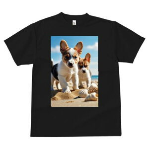 R[M[ TVc fB[X t@  t  vg JWA 킢 lԗp h ̃fUC ʔ r[` R[M[ C  Lk