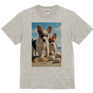 R[M[ TVc fB[X t@  t  vg JWA 킢 lԗp h ̃fUC ʔ r[` R[M[ C  Lk