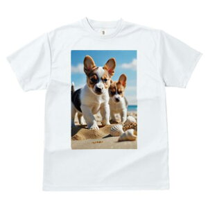 R[M[ TVc fB[X t@  t  vg JWA 킢 lԗp h ̃fUC ʔ r[` R[M[ C  Lk