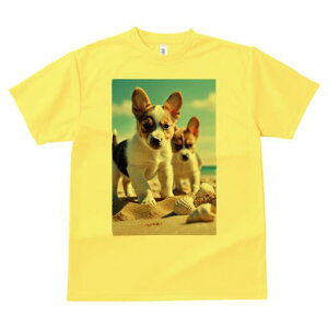 R[M[ TVc fB[X t@  t  vg JWA 킢 lԗp h ̃fUC ʔ r[` R[M[ C  Lk