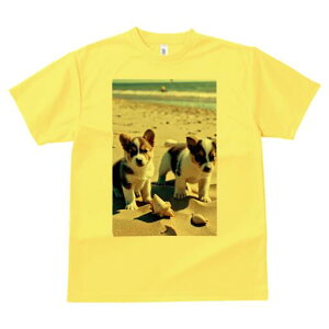 R[M[ TVc fB[X t@  t  vg JWA 킢 lԗp h ̃fUC ʔ r[` R[M[ C  Lk