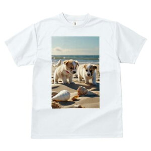 R[M[ TVc fB[X t@  t  vg JWA 킢 lԗp h ̃fUC ʔ r[` R[M[ C  Lk