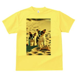 R[M[ TVc fB[X t@  t  vg JWA 킢 lԗp h ̃fUC ʔ l R[M[ Lk