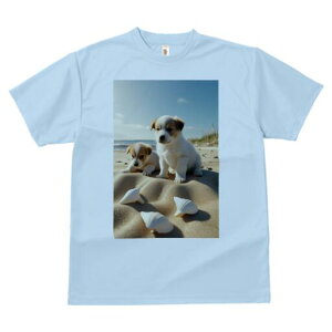 WbNbZeA TVc fB[X t@  t  vg JWA 킢 lԗp h ̃fUC ʔ r[` WbNbZeA C  Lk