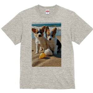 R[M[ TVc fB[X t@  t  vg JWA 킢 lԗp h ̃fUC ʔ r[` R[M[  Lk