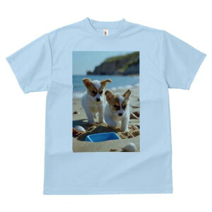 R[M[,WbNbZeA TVc fB[X t@  t  vg JWA 킢 lԗp h ̃fUC ʔ r[` R[M[,WbNbZe