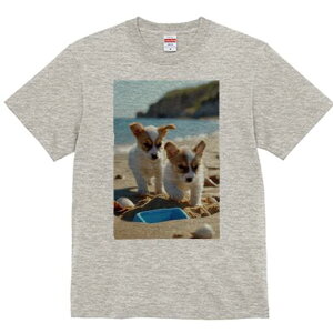 R[M[,WbNbZeA TVc fB[X t@  t  vg JWA 킢 lԗp h ̃fUC ʔ r[` R[M[,WbNbZe