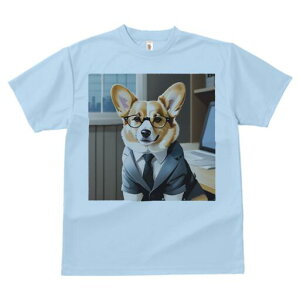 R[M[ TVc Y LbY t@  t  vg JWA 킢 lԗp h ̃fUC ʔ X[c R[M[ lN^C Kl ItBX