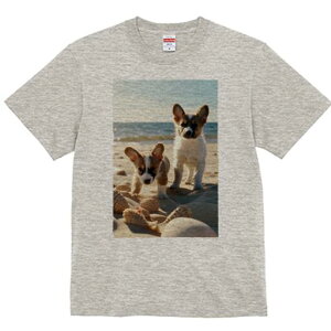 R[M[ TVc fB[X t@  t  vg JWA 킢 lԗp h ̃fUC ʔ r[` R[M[ C  Lk