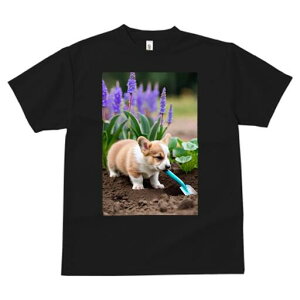 R[M[ TVc fB[X t@  t  vg JWA 킢 lԗp h ̃fUC ʔ  R[M[  XRbv y