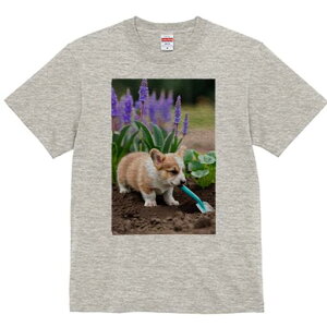 R[M[ TVc fB[X t@  t  vg JWA 킢 lԗp h ̃fUC ʔ  R[M[  XRbv y