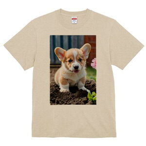 R[M[ TVc fB[X t@  t  vg JWA 킢 lԗp h ̃fUC ʔ  R[M[ y