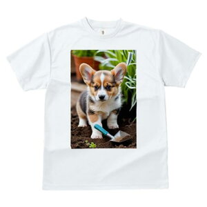 R[M[ TVc fB[X t@  t  vg JWA 킢 lԗp h ̃fUC ʔ | R[M[ 