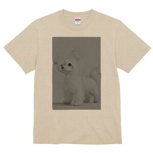 }`[Y TVc fB[X t@  t  vg JWA 킢 lԗp h ̃fUC ʔ }`[Y