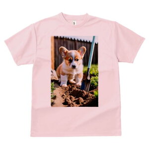 R[M[ TVc fB[X t@  t  vg JWA 킢 lԗp h ̃fUC ʔ  R[M[ y Vx |