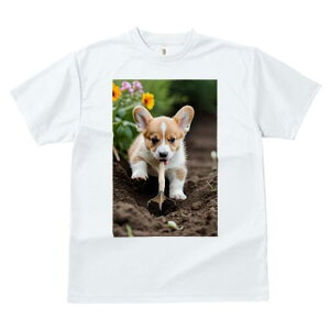 R[M[ TVc fB[X t@  t  vg JWA 킢 lԗp h ̃fUC ʔ  R[M[  y Vx