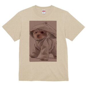 [NV[eA TVc fB[X t@  t  vg JWA 킢 lԗp h ̃fUC ʔ t[ht [NV[eA 