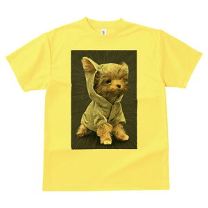 [NV[eA TVc fB[X t@  t  vg JWA 킢 lԗp h ̃fUC ʔ t[ht [NV[eA 