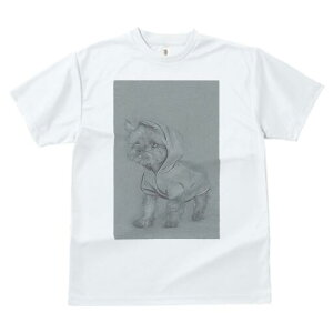 [NV[eA TVc fB[X t@  t  vg JWA 킢 lԗp h ̃fUC ʔ t[ht [NV[eA 