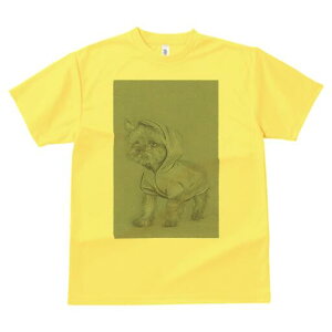 [NV[eA TVc fB[X t@  t  vg JWA 킢 lԗp h ̃fUC ʔ t[ht [NV[eA 