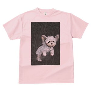 [NV[eA TVc fB[X t@  t  vg JWA 킢 lԗp h ̃fUC ʔ J [NV[eA CR[g