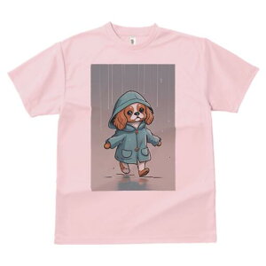 LoA TVc fB[X t@  t  vg JWA 킢 lԗp h ̃fUC ʔ J LoA CR[g ~J J