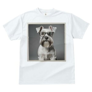 ~j`AViEU[ TVc fB[X t@  t  vg JWA 킢 lԗp h ̃fUC ʔ Kl ~j`AViEU[