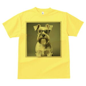 ~j`AViEU[ TVc fB[X t@  t  vg JWA 킢 lԗp h ̃fUC ʔ Kl ~j`AViEU[