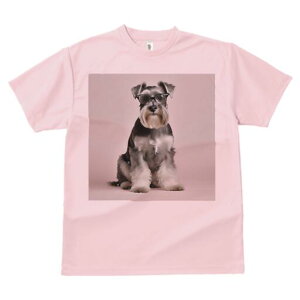 ~j`AViEU[ TVc Y LbY t@  t  vg JWA 킢 lԗp h ̃fUC ʔ Kl ~j`AViEU[