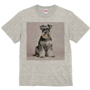 ~j`AViEU[ TVc Y LbY t@  t  vg JWA 킢 lԗp h ̃fUC ʔ Kl ~j`AViEU[