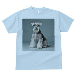 ~j`AViEU[ TVc fB[X t@  t  vg JWA 킢 lԗp h ̃fUC ʔ Kl ~j`AViEU[