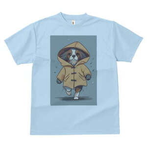 LoA TVc fB[X t@  t  vg JWA 킢 lԗp h ̃fUC ʔ CR[g LoA t[h