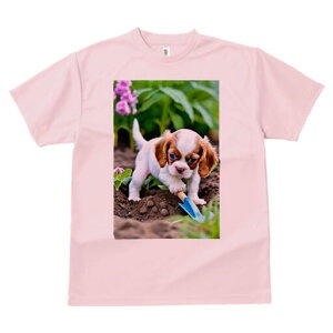 LoA TVc fB[X t@  t  vg JWA 킢 lԗp h ̃fUC ʔ K[fjO LoA  A 