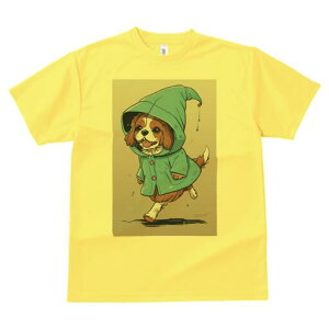 LoA TVc fB[X t@  t  vg JWA 킢 lԗp h ̃fUC ʔ J LoA CR[g t[h