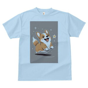 R[M[ TVc fB[X t@  t  vg JWA 킢 lԗp h ̃fUC ʔ  R[M[