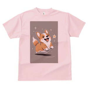 R[M[ TVc fB[X t@  t  vg JWA 킢 lԗp h ̃fUC ʔ  R[M[