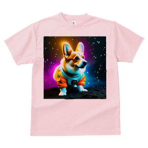 R[M[ TVc fB[X t@  t  vg JWA 킢 lԗp h ̃fUC ʔ F R[M[ F 