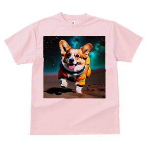 R[M[ TVc fB[X t@  t  vg JWA 킢 lԗp h ̃fUC ʔ F R[M[ F