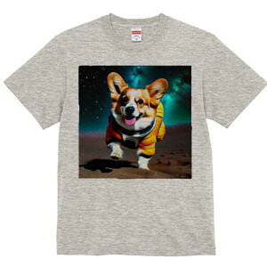 R[M[ TVc fB[X t@  t  vg JWA 킢 lԗp h ̃fUC ʔ F R[M[ F