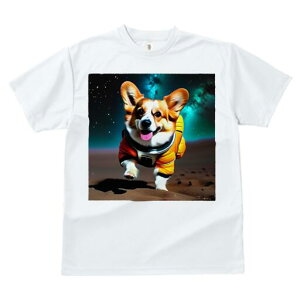 R[M[ TVc fB[X t@  t  vg JWA 킢 lԗp h ̃fUC ʔ F R[M[ F