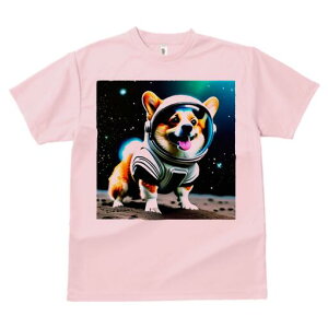 R[M[ TVc fB[X t@  t  vg JWA 킢 lԗp h ̃fUC ʔ F R[M[ F 