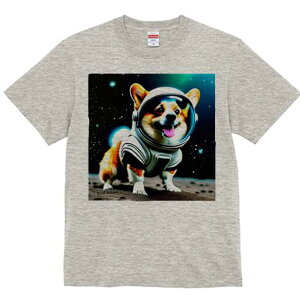 R[M[ TVc fB[X t@  t  vg JWA 킢 lԗp h ̃fUC ʔ F R[M[ F 